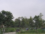 7.JPG